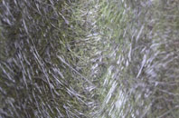 Banham fibreglass roof work